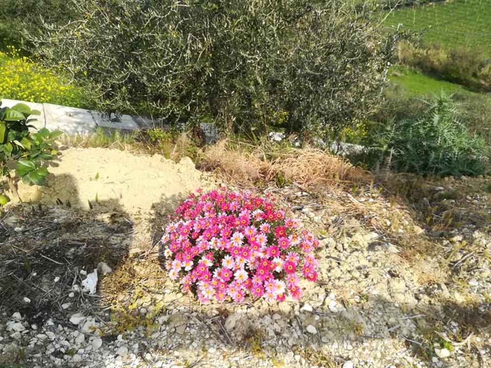 Angolo Di Paradiso Κιέτι Εξωτερικό φωτογραφία